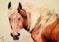 /album/dessins-faits-aux-crayons/tete-cheval-jpg/
